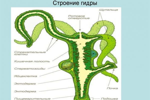 Кракен магазин kraken014 com